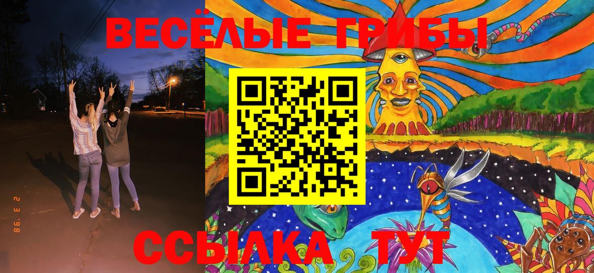 Галлюциногенные грибы ЛСД  Псилоцибиновые грибы Cubensis  Вольск  Вход с VPN 